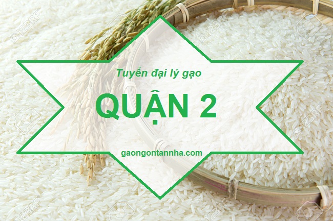 Tuyển đại lý gạo ngon quận 2 cung cấp gạo cho gia đình giá rẻ tại tphcm