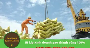 Cách kinh doanh gạo hiệu quả từ a đến z