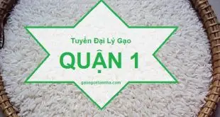 Tuyển đại lý gạo tại quận 1