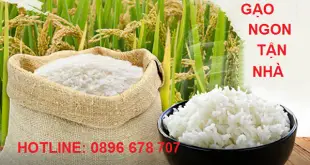 Cung cấp gạo sỉ lẻ cho quán ăn, nhà hàng, xí nghiệp tại quận 3