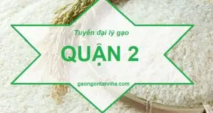 Tuyển đại lý gạo ngon quận 2 cung cấp gạo cho gia đình giá rẻ tại tphcm