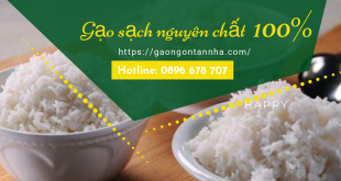 Làm thế nào để phân biệt gạo thật gạo giả trên thị trường ?