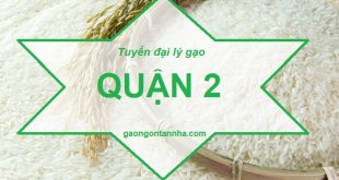 Tuyển đại lý gạo ngon quận 2 cung cấp gạo cho gia đình giá rẻ tại tphcm