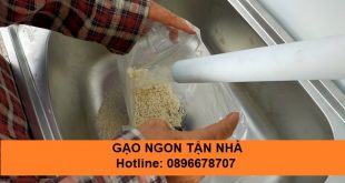 Cung cấp gạo từ thiện tại cây ATM gạo quận Tân Phú