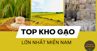 Top kho gạo lớn nhất miền nam – sự lựa chọn tốt nhất cho mọi nhà