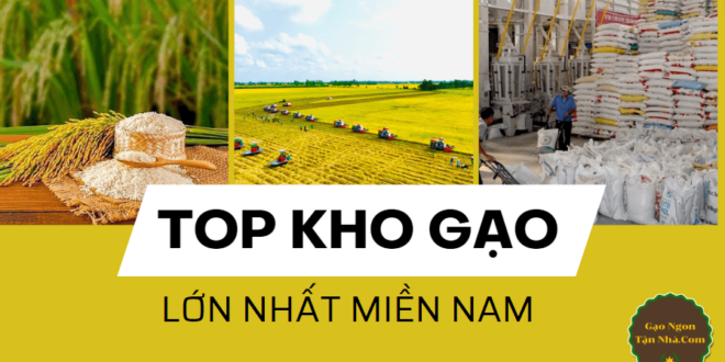 Top kho gạo lớn nhất miền nam – sự lựa chọn tốt nhất cho mọi nhà