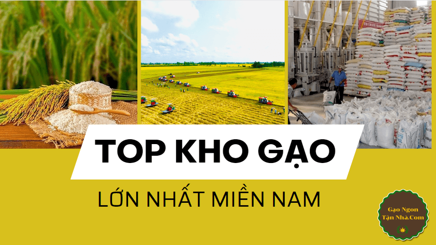 Top kho gạo lớn nhất miền nam – sự lựa chọn tốt nhất cho mọi nhà