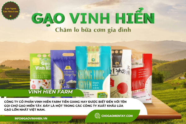 Vinh Hiển Farm – Công ty xuất khẩu lúa gạo hàng đầu Việt Nam