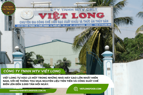 Công ty TNHH MTV Việt Long 