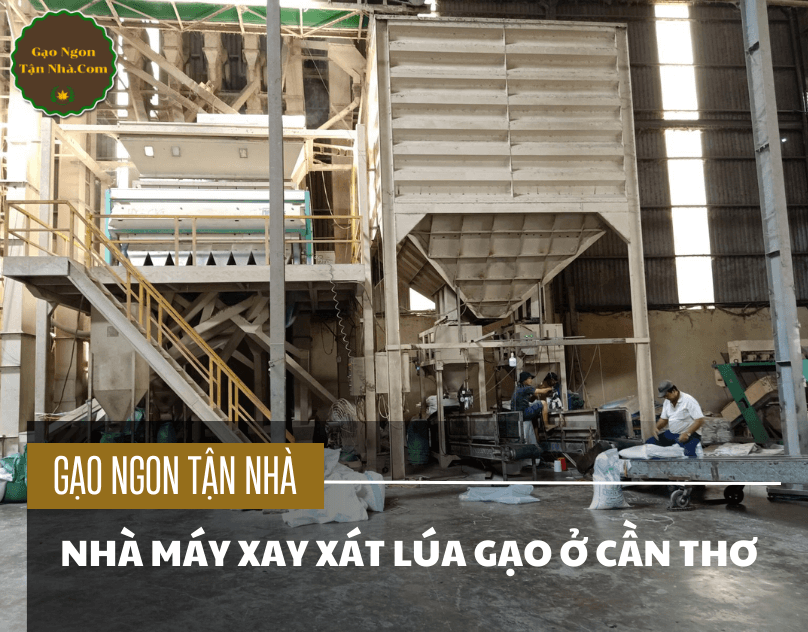 Nhà máy xay xát lúa gạo ở Cần Thơ - Động lực phát triển kinh tế nông nghiệp miền tây